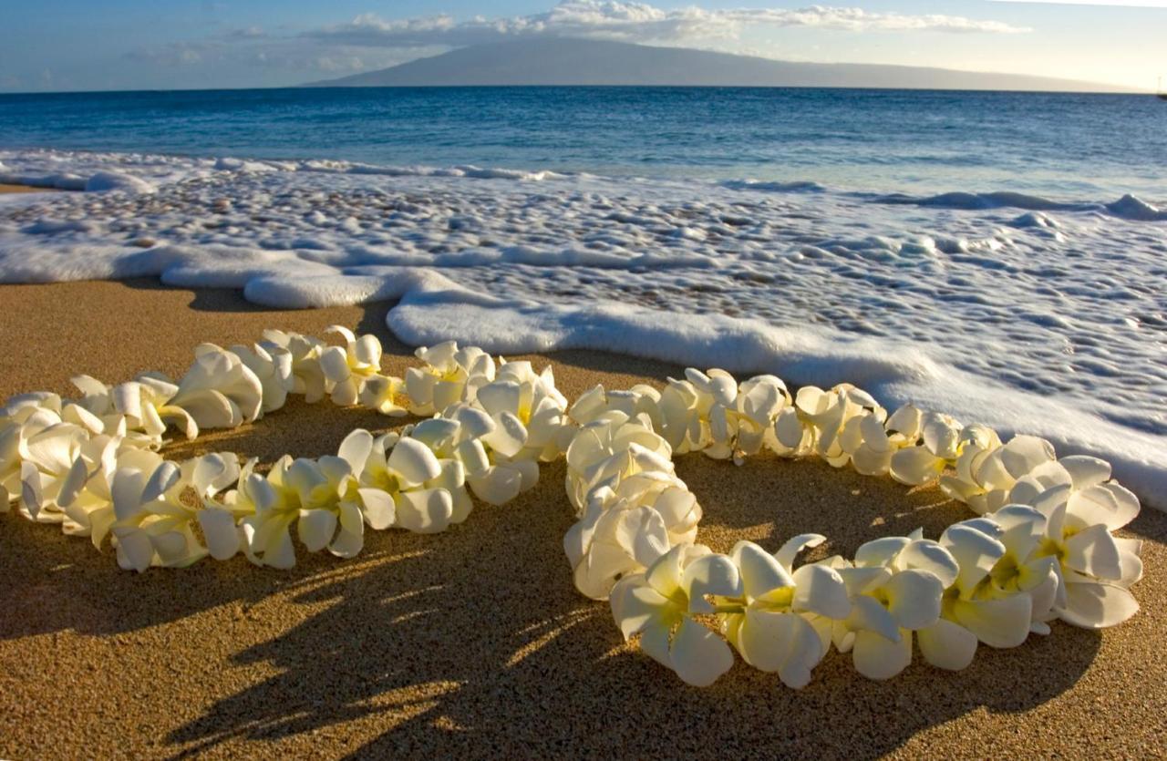 Steps To Waikiki Beach! Newly Renovated With 75" Tv Honolulu Exteriör bild